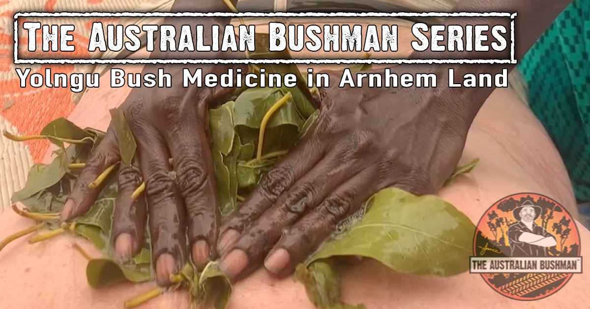 Yolngu Bush Medicine in Arnhem Land